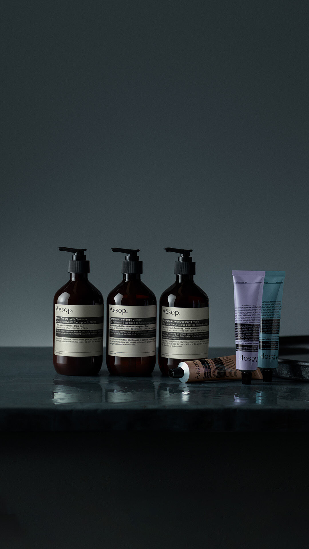 イソップ | 考えぬかれたスキンケア、ヘアケア、ボディケア、ホーム